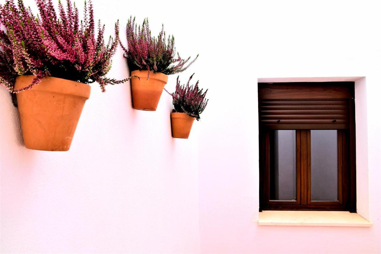 Apartamentos Turisticos Mamelon Jerez de la Frontera Exteriör bild